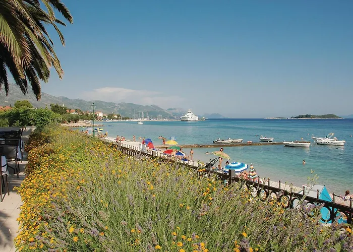 Beautiful In Dingac With House Sea View 아파트 Gornji Dingač